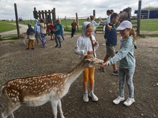 351456346_219350257583773_6991450721595986153_n